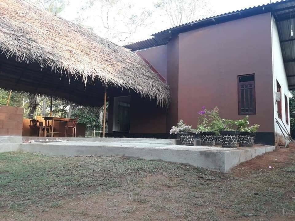 Gimanhala Cottage Anuradhapura Exterior foto