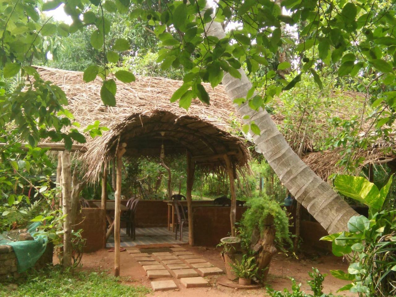 Gimanhala Cottage Anuradhapura Exterior foto